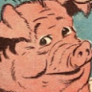 Meet your Posher, Matt